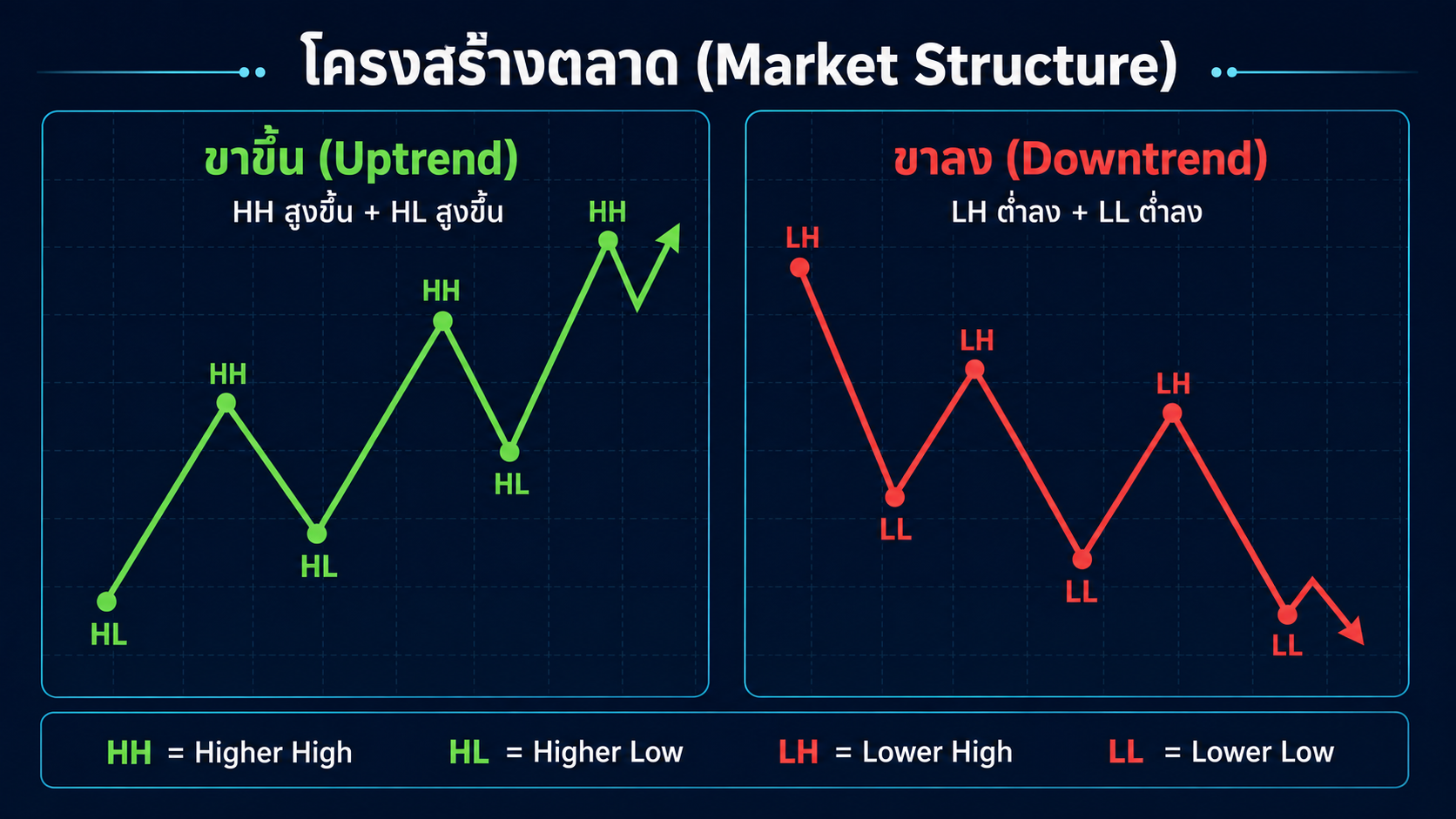 ภาพรวมโครงสร้างตลาด